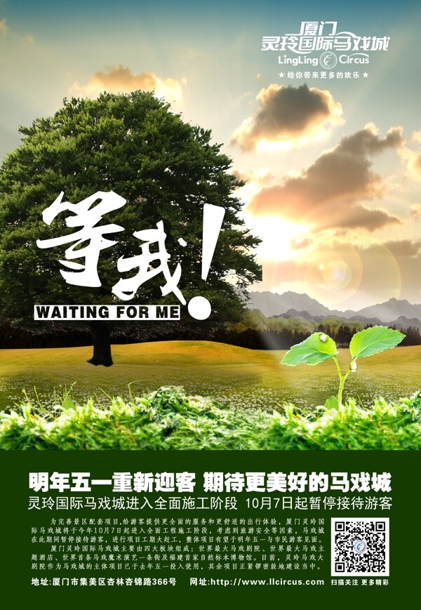 树苗的展望图片
