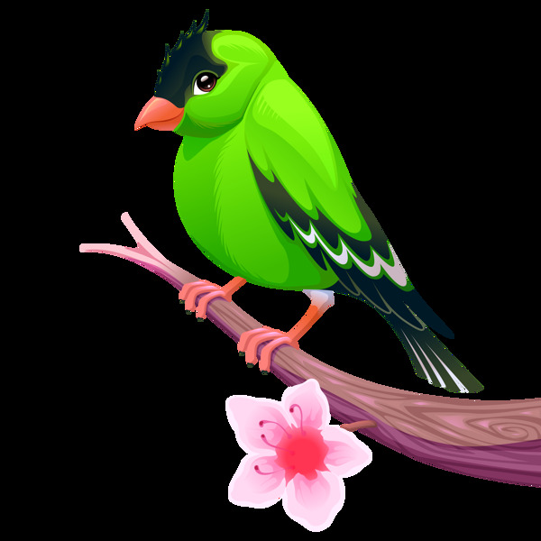 卡通鳥