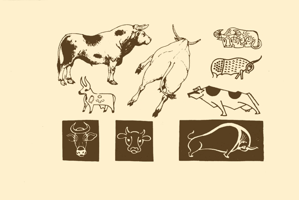 動物圖案牛圖片