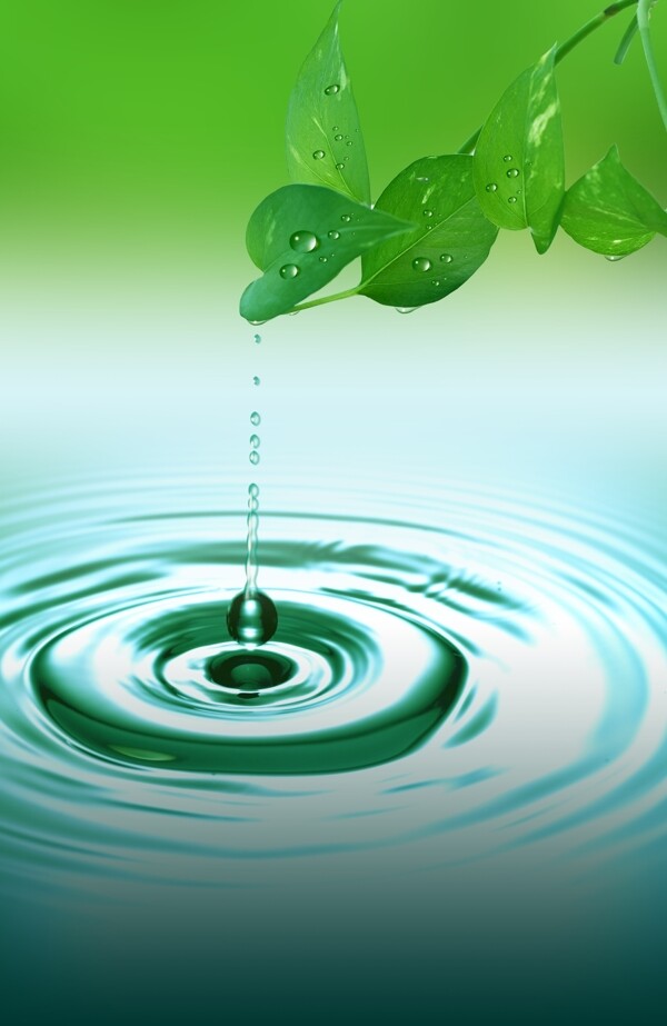 水滴綠葉