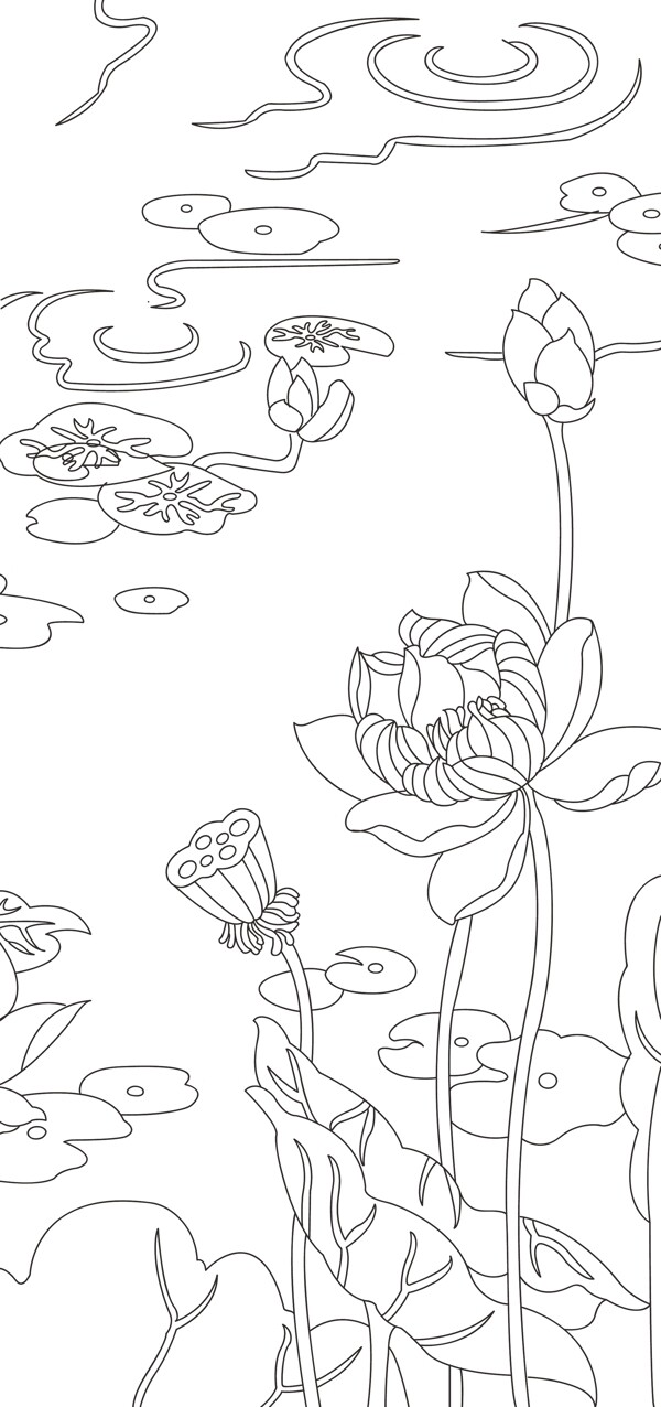 荷花矢量白描圖片