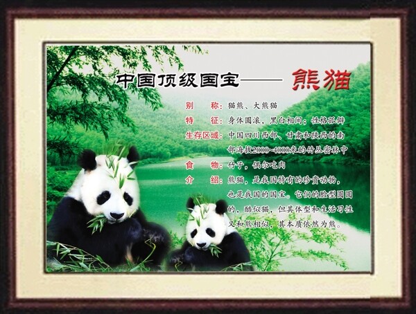 校園文化圖片