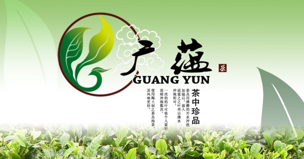 茶葉海報(bào)