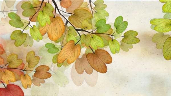 彩色手绘枝叶秋天背景