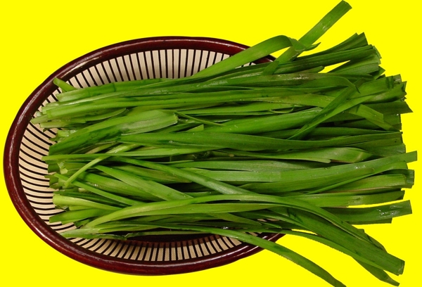 韭菜圖片