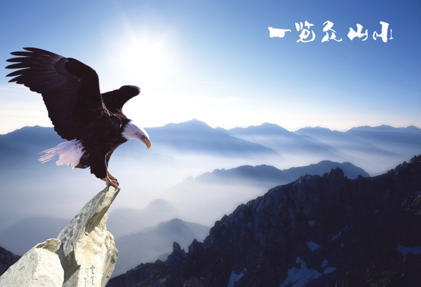 鷹擊長空?qǐng)D片