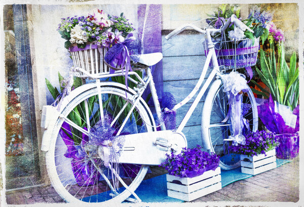 花朵自行车图片