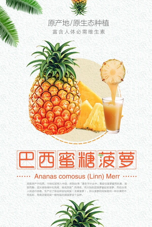 巴西蜜糖菠萝宣传海报