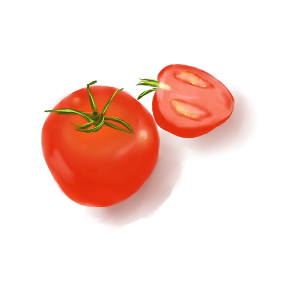 番茄写实绘画番茄
