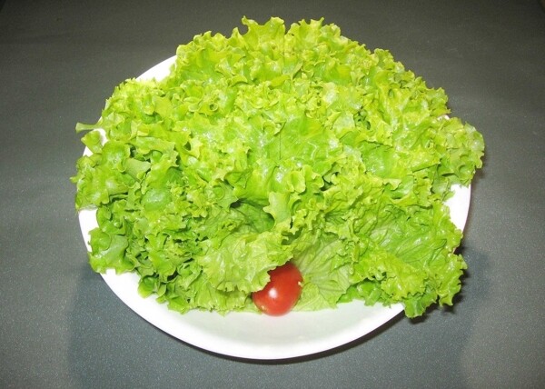 生菜圖片
