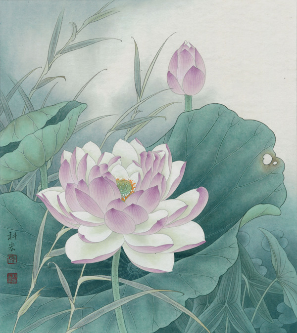 紫蓮飄香晨風(fēng)里圖片