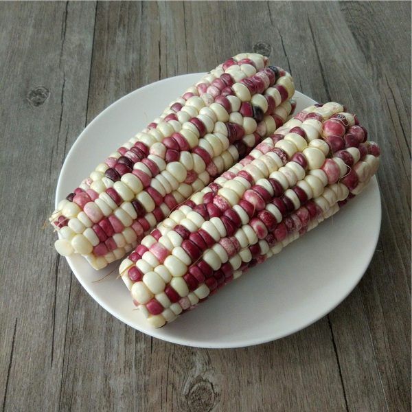 糯玉米