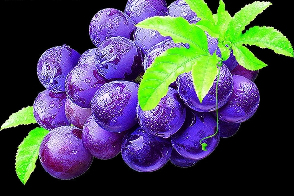 葡萄圖片