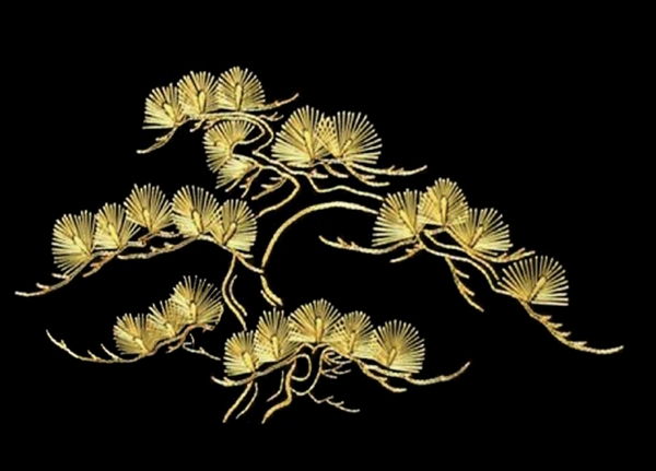 松樹(shù)金色樹(shù)苗