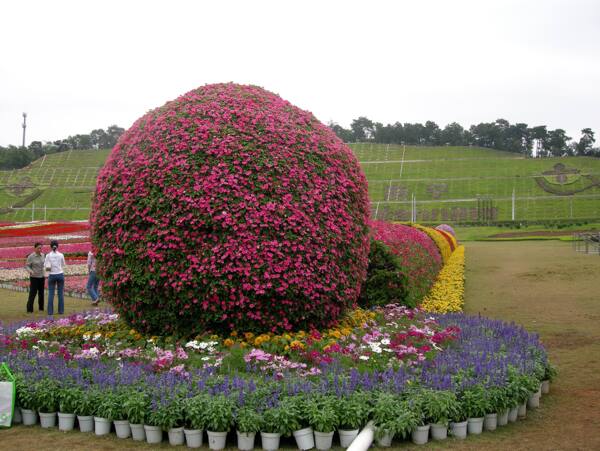 花球