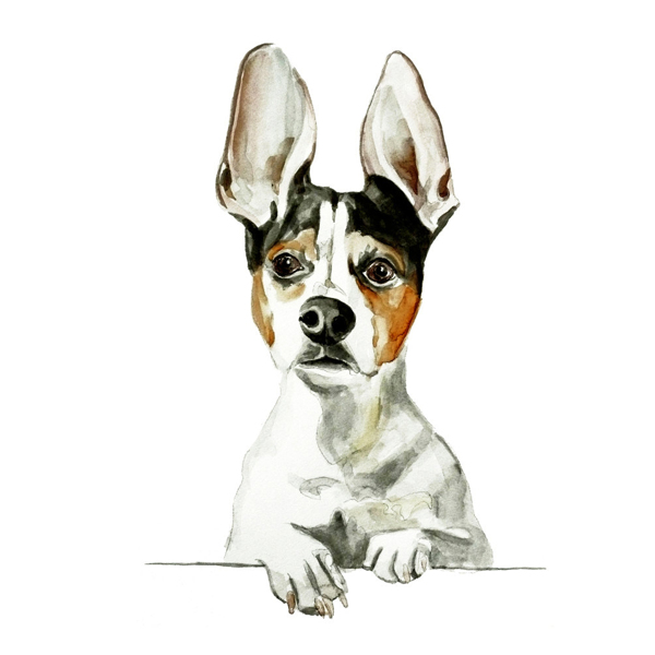 位圖插畫動物插畫藝術效果手繪免費素材