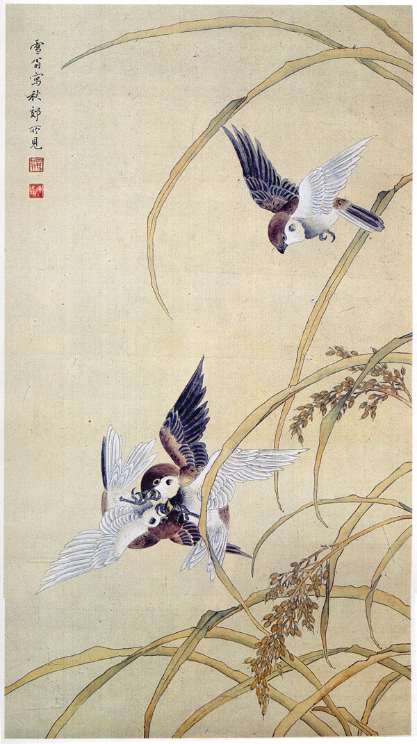 工筆花鳥(niǎo)
