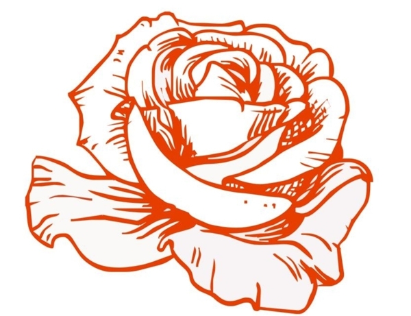 玫瑰花瓣