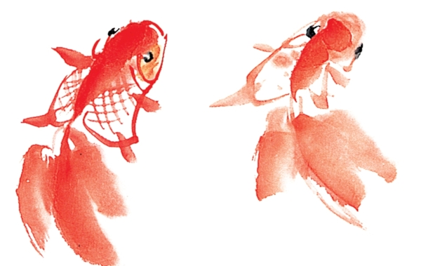 水墨红色金鱼png素材图片