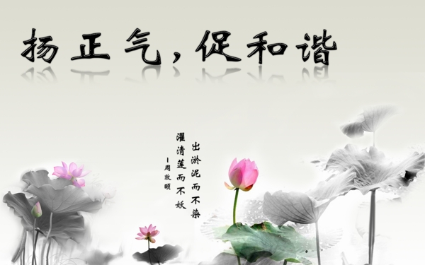 揚正氣促和諧圖片