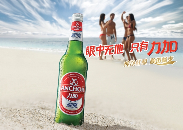 啤酒圖片