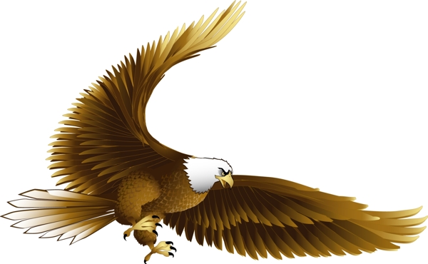 中国吉祥物素材翱翔的鹰