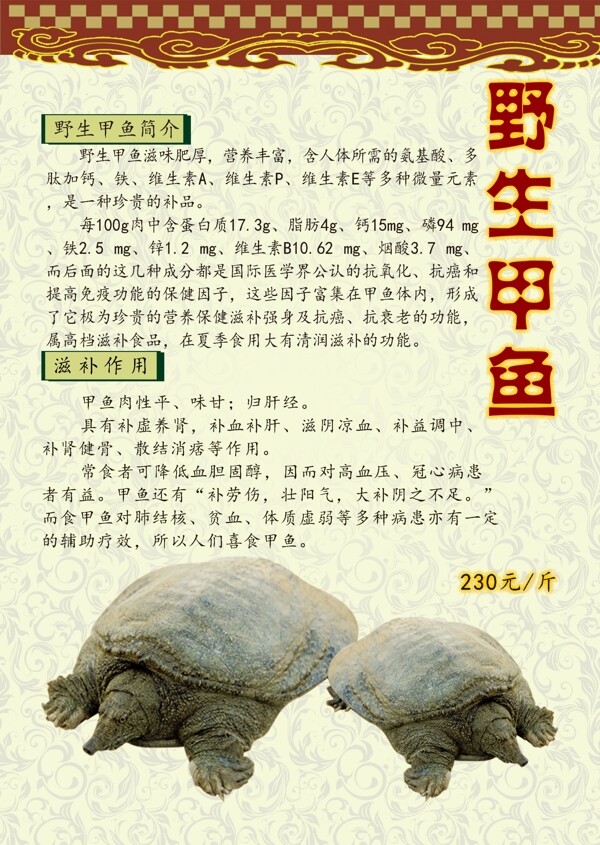 野生甲魚海報(bào)