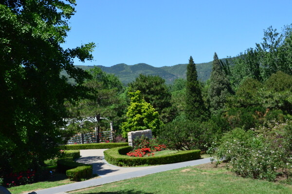 植物园风景