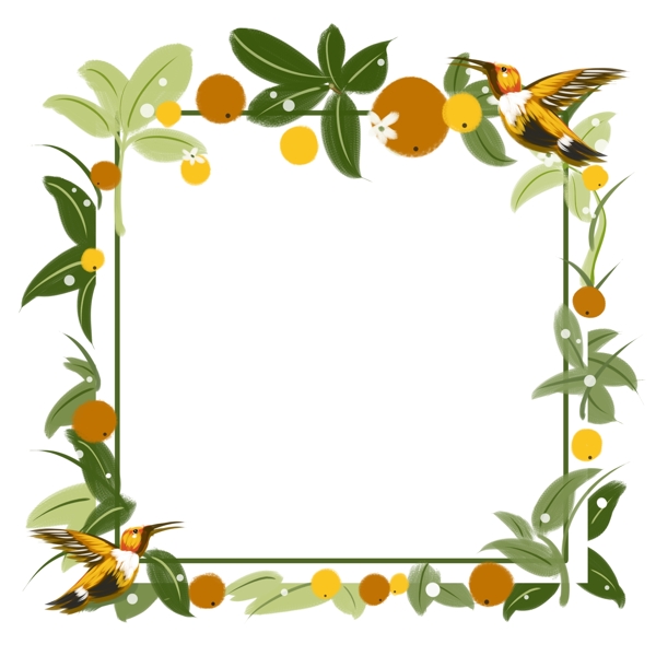 正方形橘子树花束蜂鸟贺卡边框