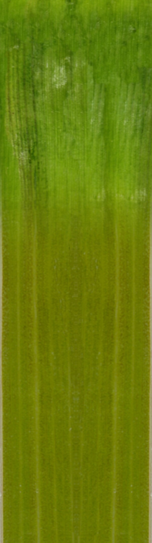 衛(wèi)生間圖片