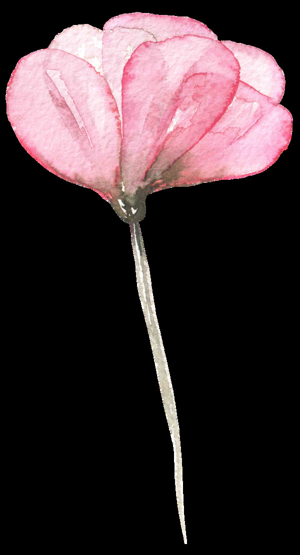 粉芯花蕊透明素材
