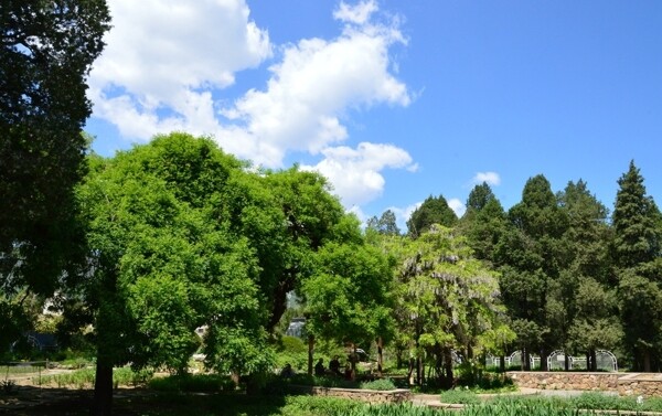 南植物园风景