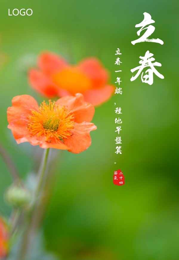 精美花卉立春节气海报