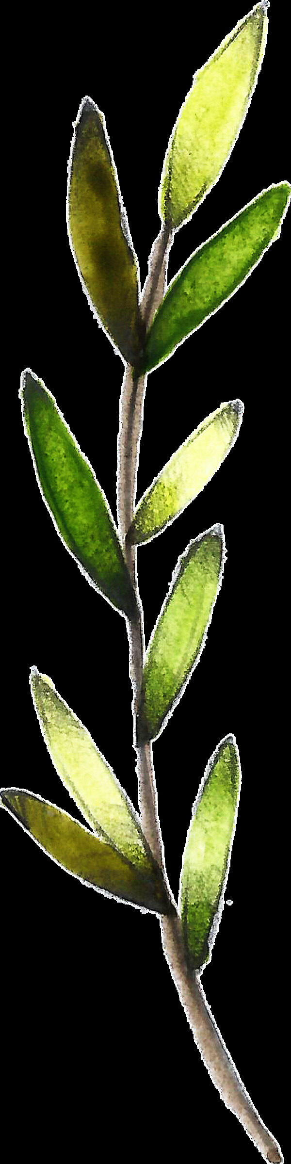 黃綠花枝透明裝飾素材