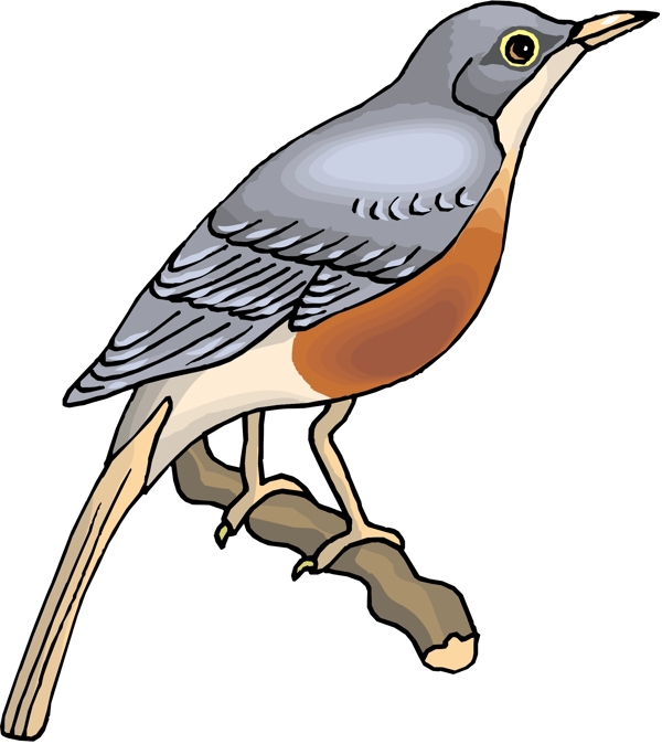 各種鳥類鳥動(dòng)物矢量素材EPS格式1382
