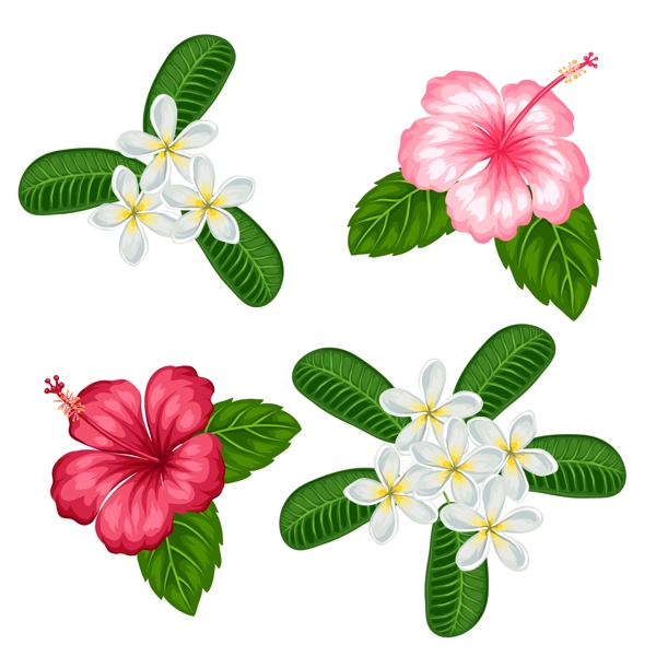 熱帶花朵