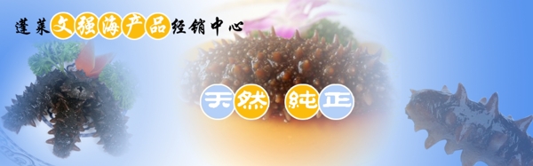 網(wǎng)站banner設(shè)計(jì)