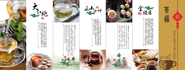 大红袍茶叶彩页图片