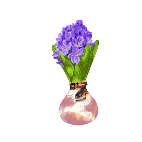 紫色风信子原创水彩手绘花朵元素