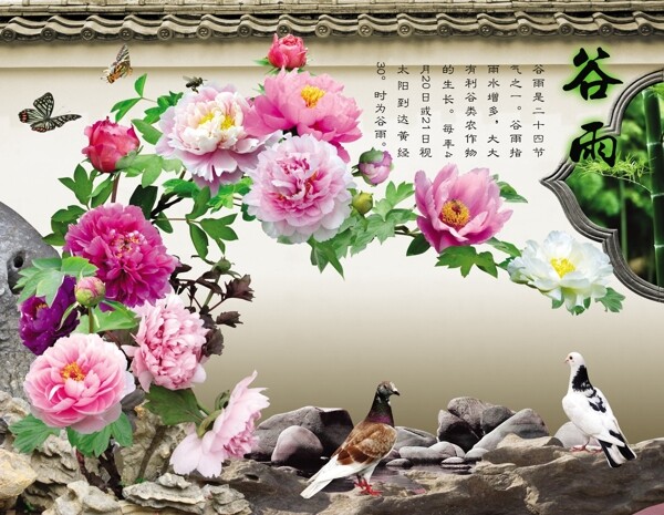 花類(lèi)和鳥(niǎo)類(lèi)素材