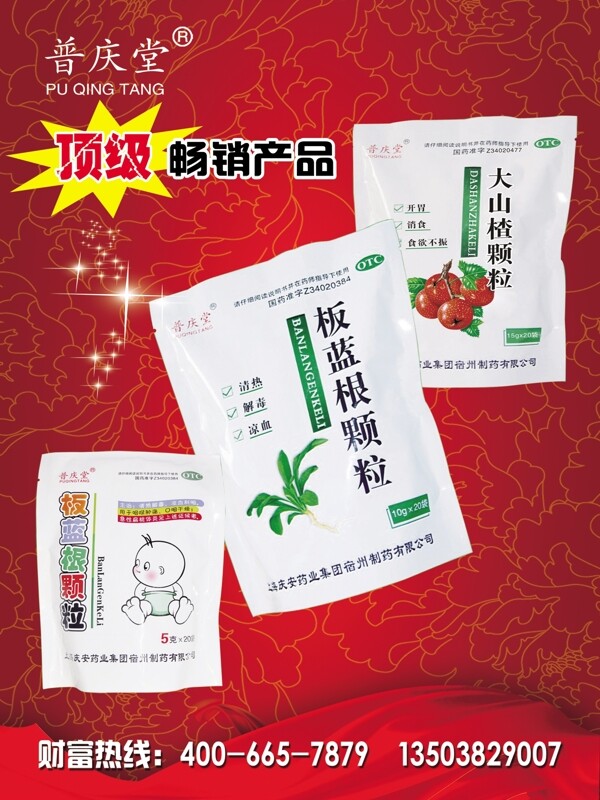 板藍(lán)根圖片