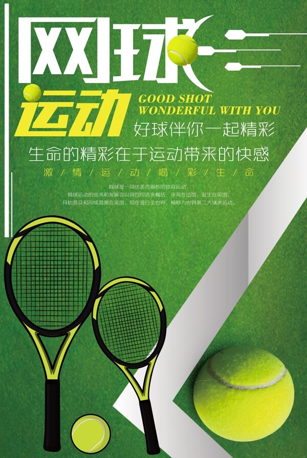 网球网球运动图片
