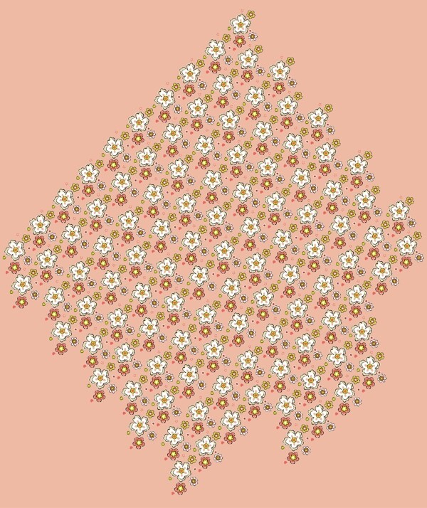 鮮花花朵圖片
