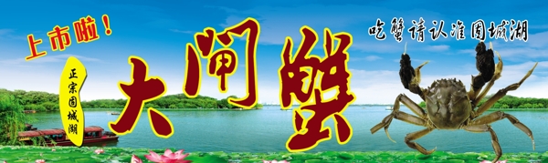 大螃蟹