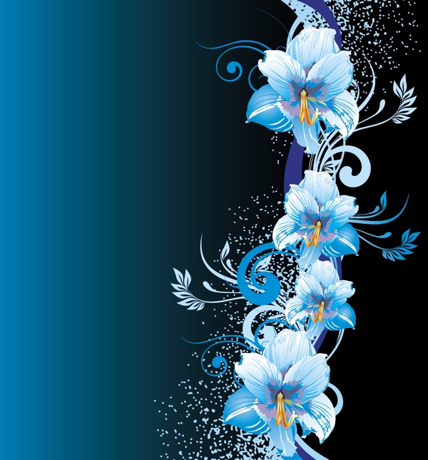 花邊素材