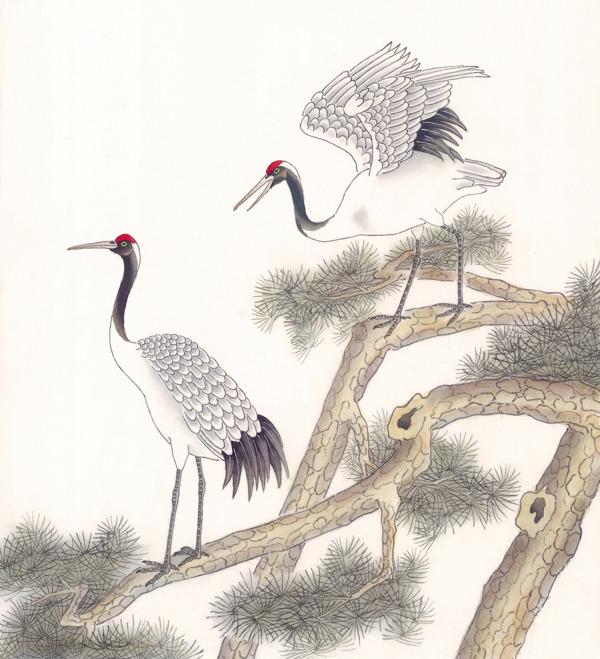 傳世鳥(niǎo)類(lèi)水彩畫(huà)