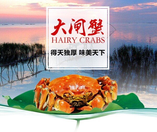大閘蟹海報