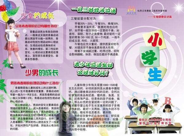 小學(xué)生宣傳冊圖片