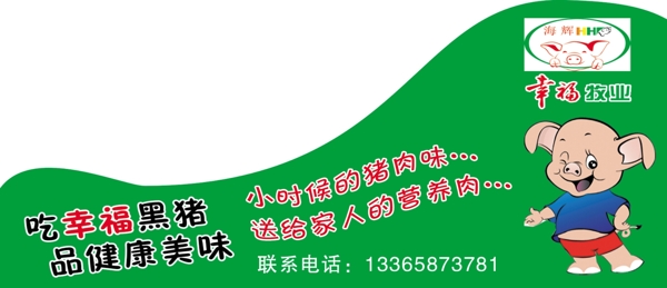 幸福黑猪图片
