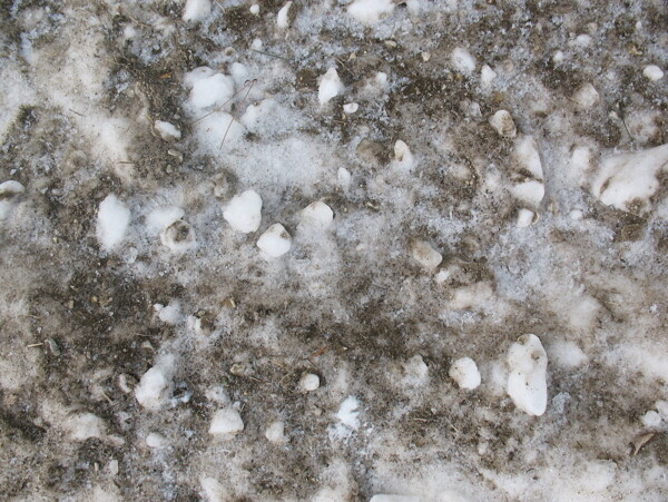 雪15紋理